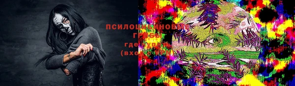 метадон Алексин